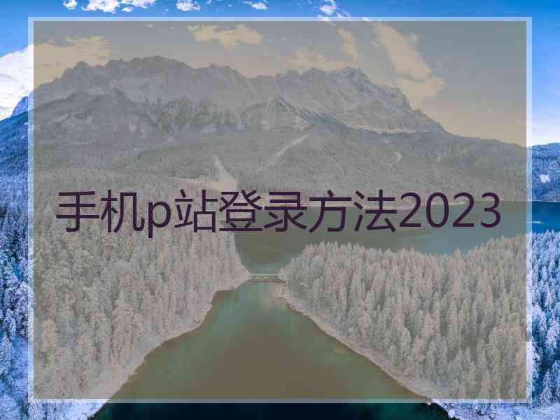 手机p站登录方法2023