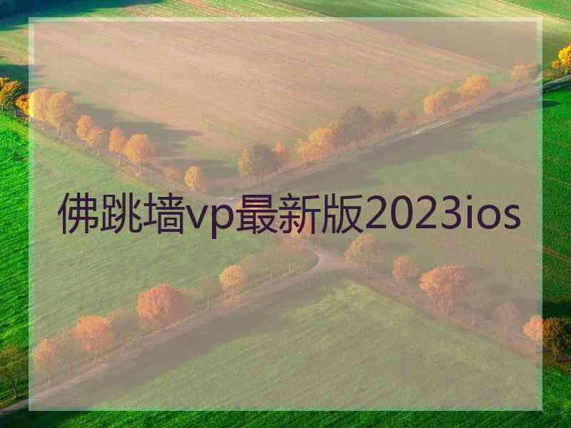 佛跳墙vp最新版2023ios