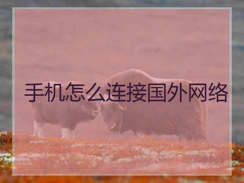 手机怎么连接国外网络