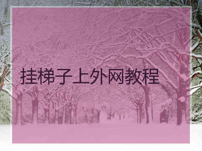 挂梯子上外网教程