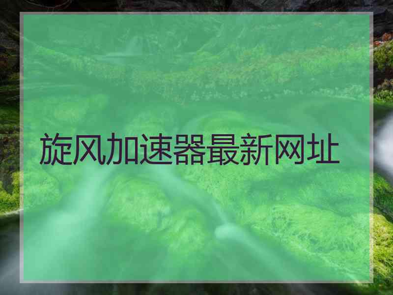 旋风加速器最新网址