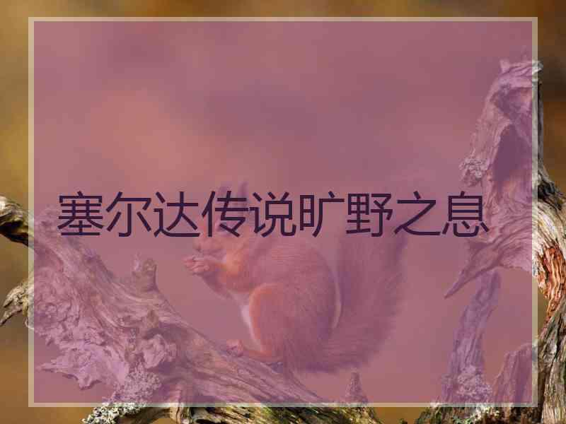 塞尔达传说旷野之息