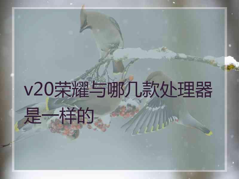 v20荣耀与哪几款处理器是一样的