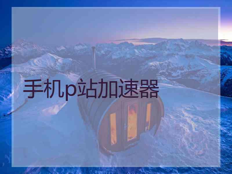 手机p站加速器