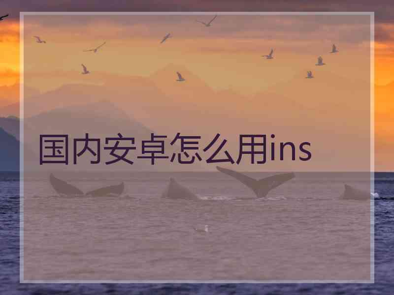 国内安卓怎么用ins