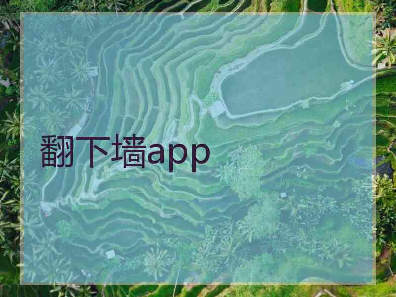 翻下墙app