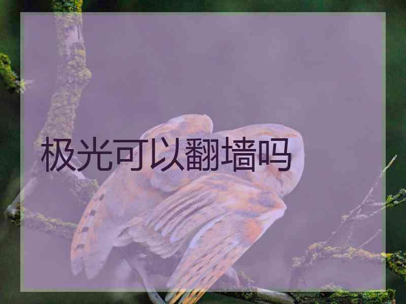 极光可以翻墙吗