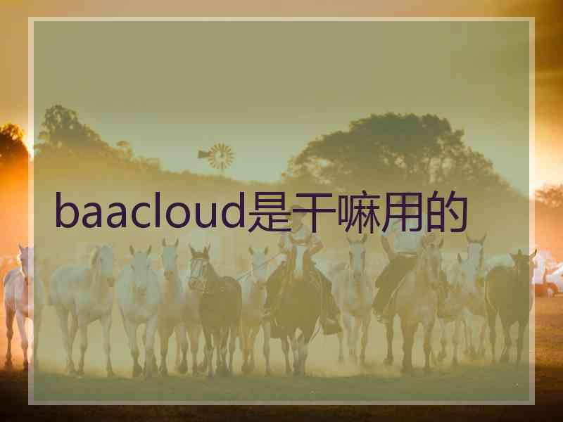 baacloud是干嘛用的