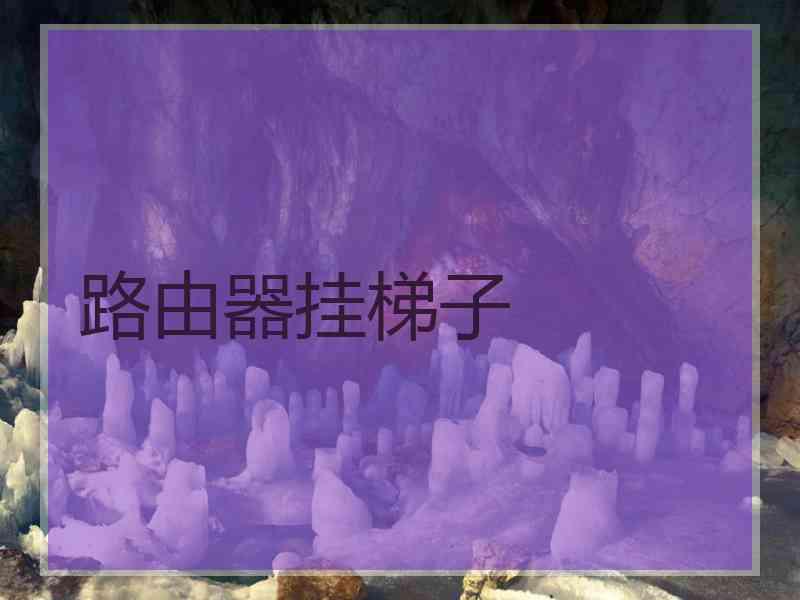 路由器挂梯子