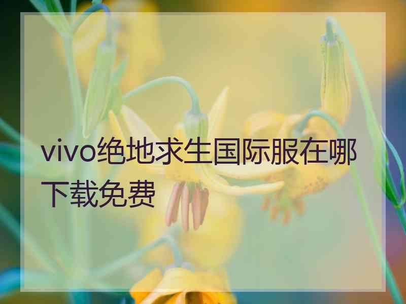 vivo绝地求生国际服在哪下载免费
