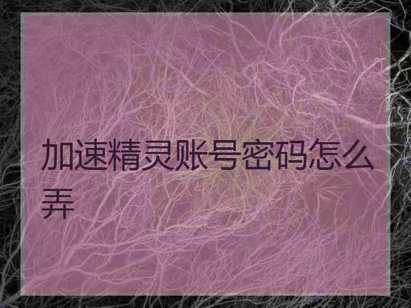 加速精灵账号密码怎么弄