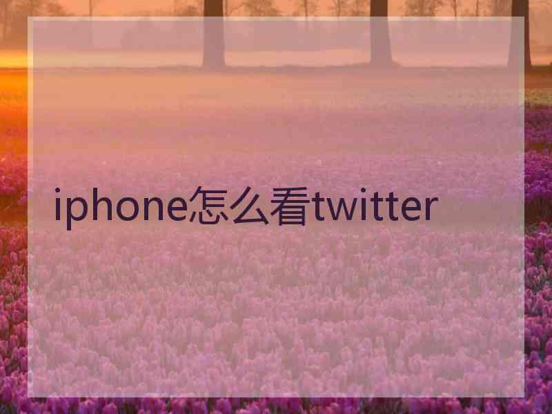 iphone怎么看twitter