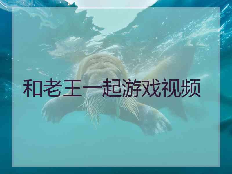 和老王一起游戏视频