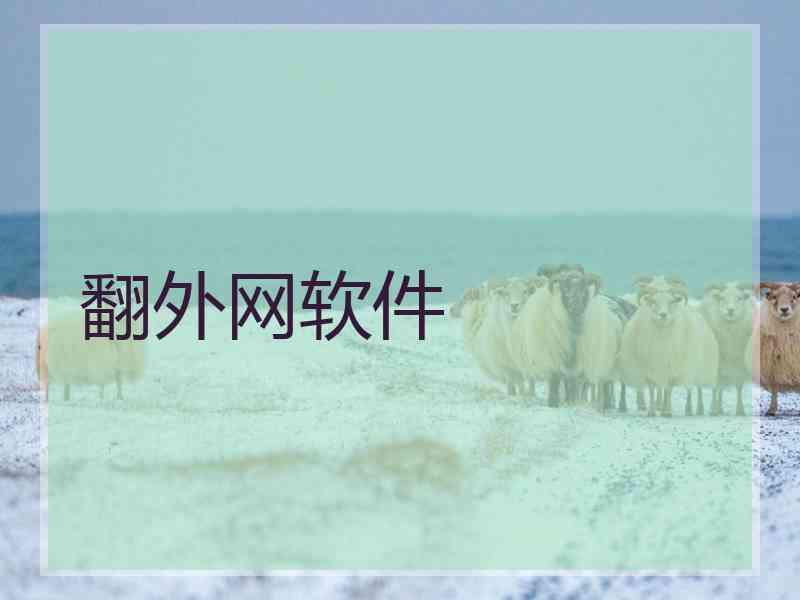 翻外网软件
