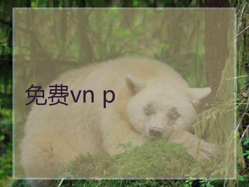 免费vn p