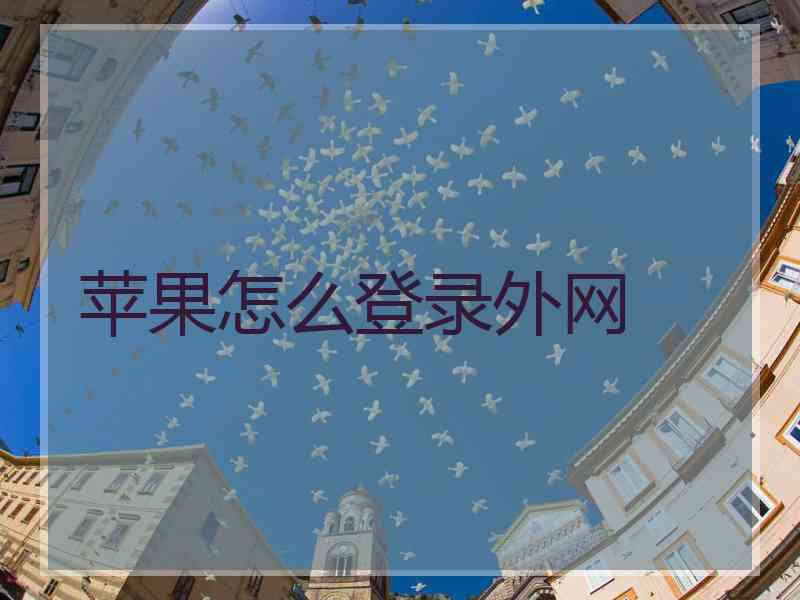 苹果怎么登录外网