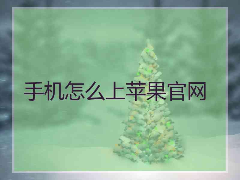 手机怎么上苹果官网
