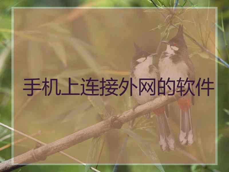 手机上连接外网的软件
