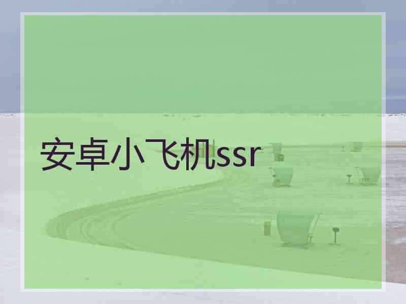 安卓小飞机ssr
