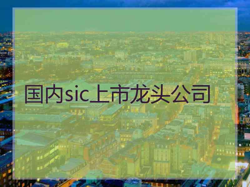 国内sic上市龙头公司