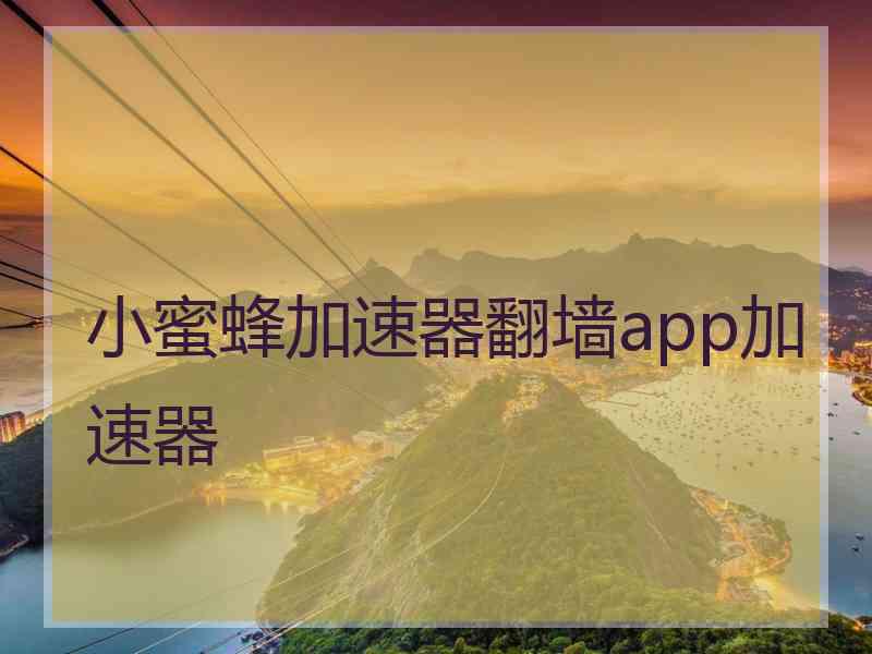 小蜜蜂加速器翻墙app加速器