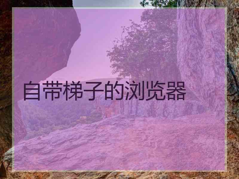 自带梯子的浏览器