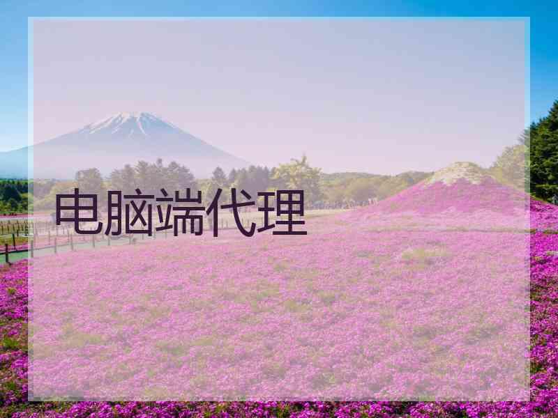 电脑端代理