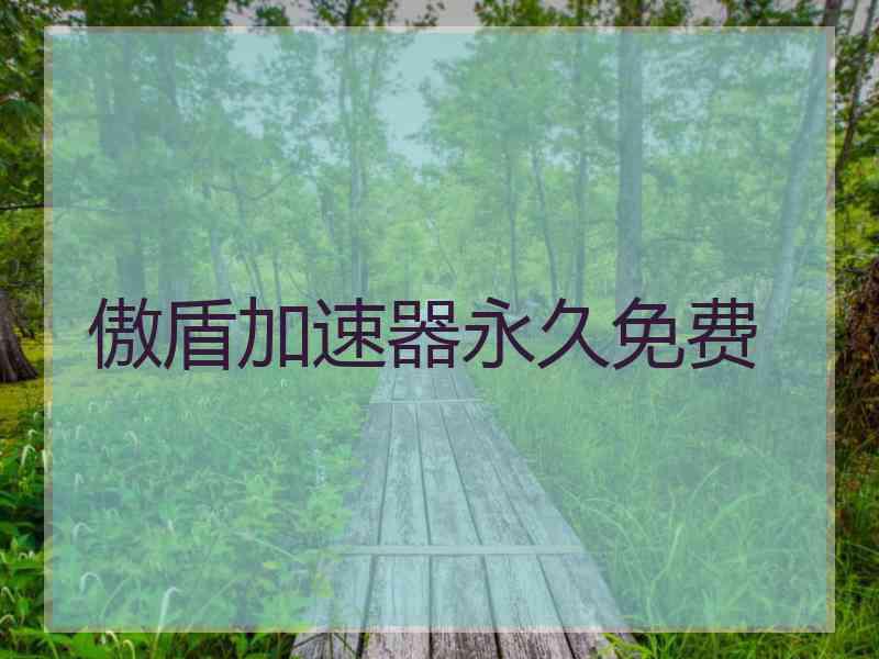 傲盾加速器永久免费