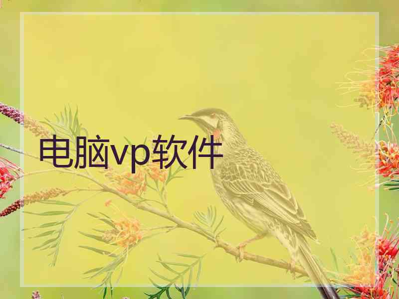 电脑vp软件