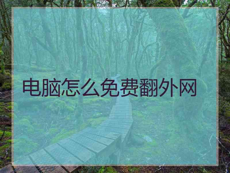 电脑怎么免费翻外网