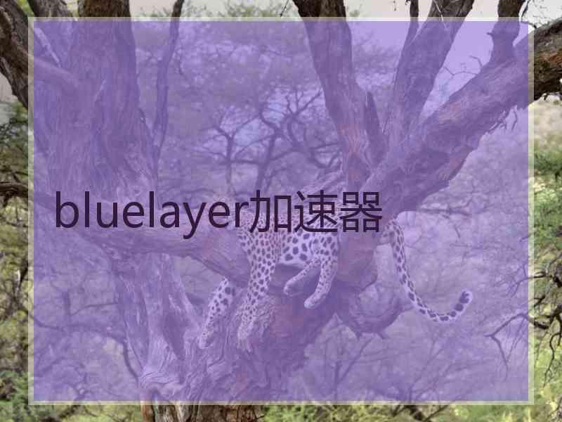 bluelayer加速器