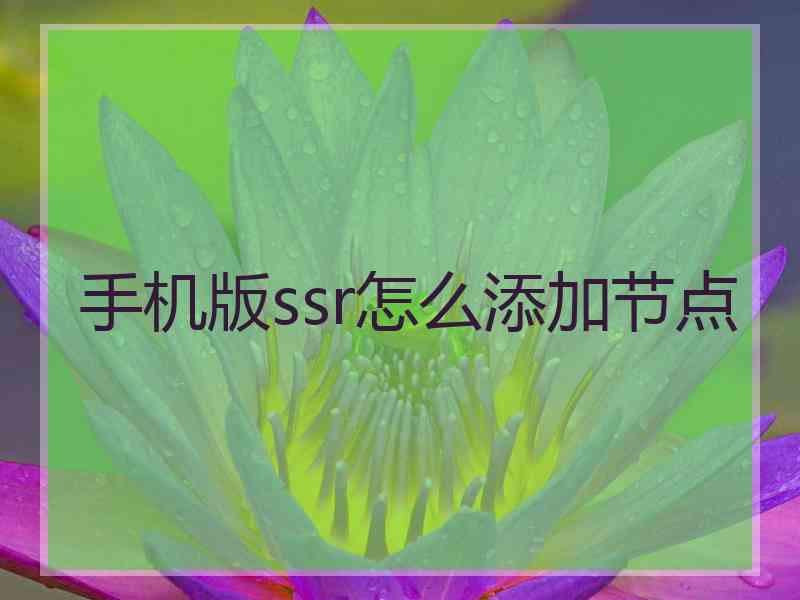 手机版ssr怎么添加节点