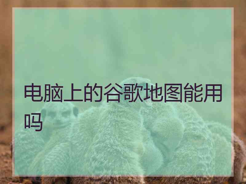 电脑上的谷歌地图能用吗