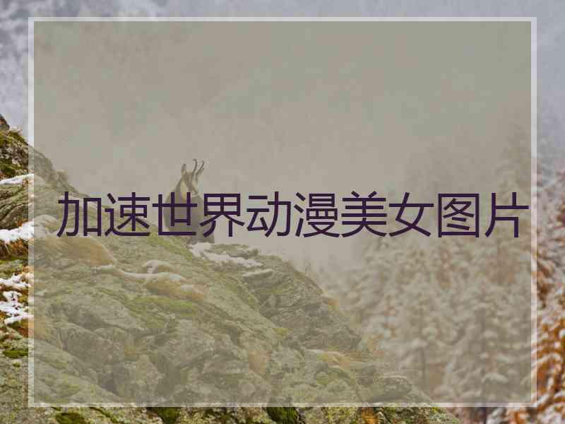 加速世界动漫美女图片