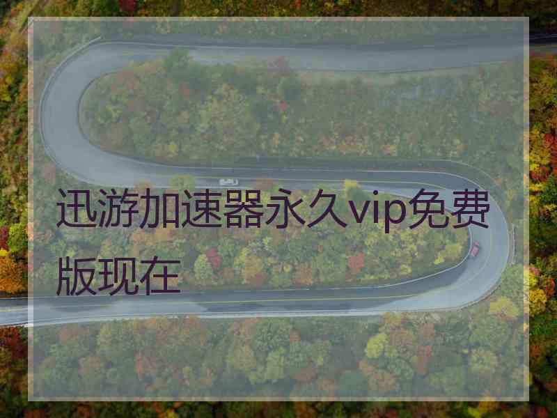 迅游加速器永久vip免费版现在