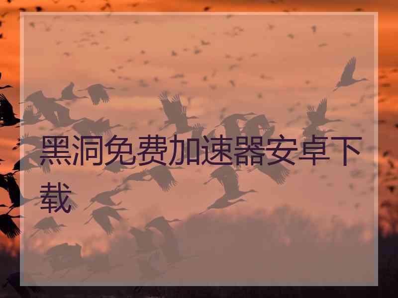 黑洞免费加速器安卓下载