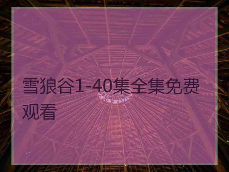 雪狼谷1-40集全集免费观看