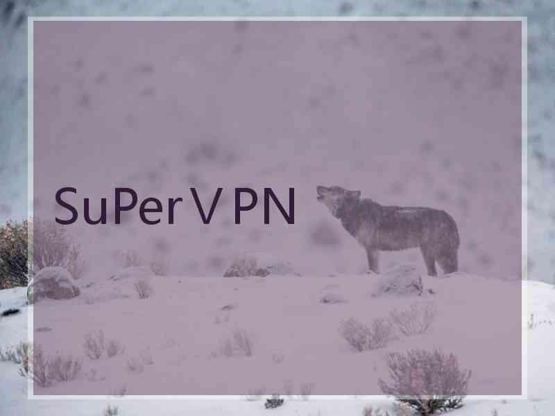 SuPerⅤPN