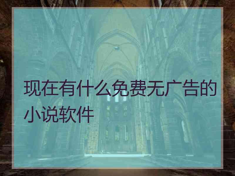 现在有什么免费无广告的小说软件