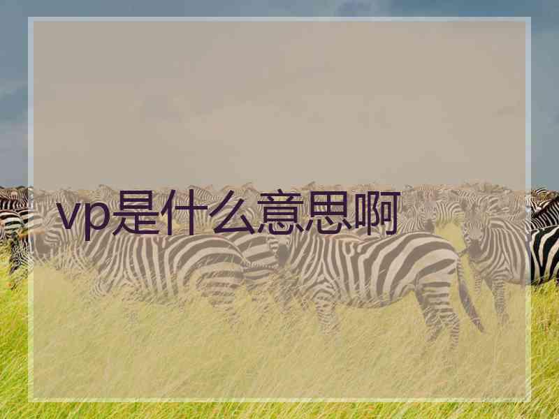 vp是什么意思啊