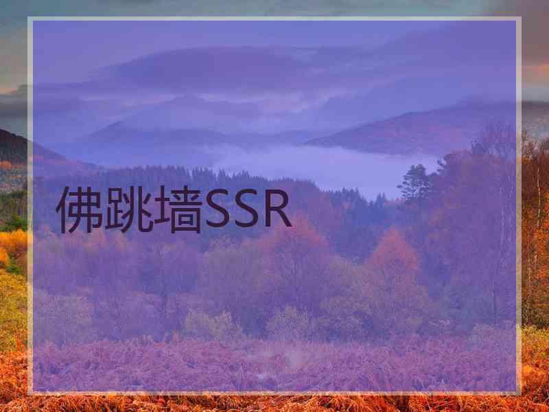佛跳墙SSR