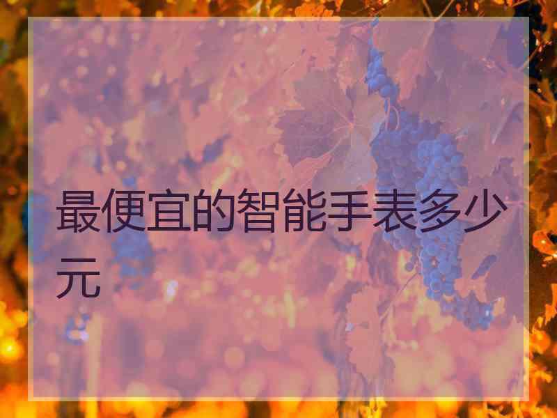 最便宜的智能手表多少元