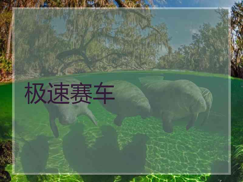 极速赛车