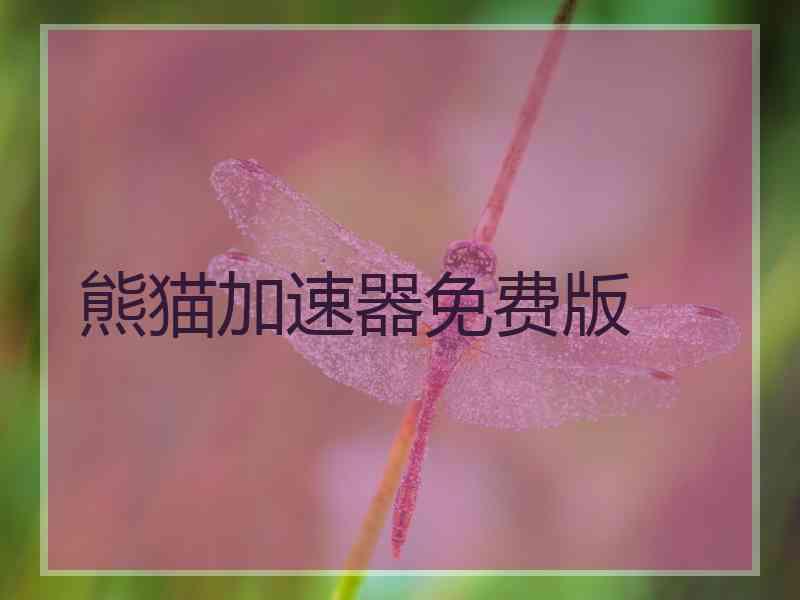 熊猫加速器免费版
