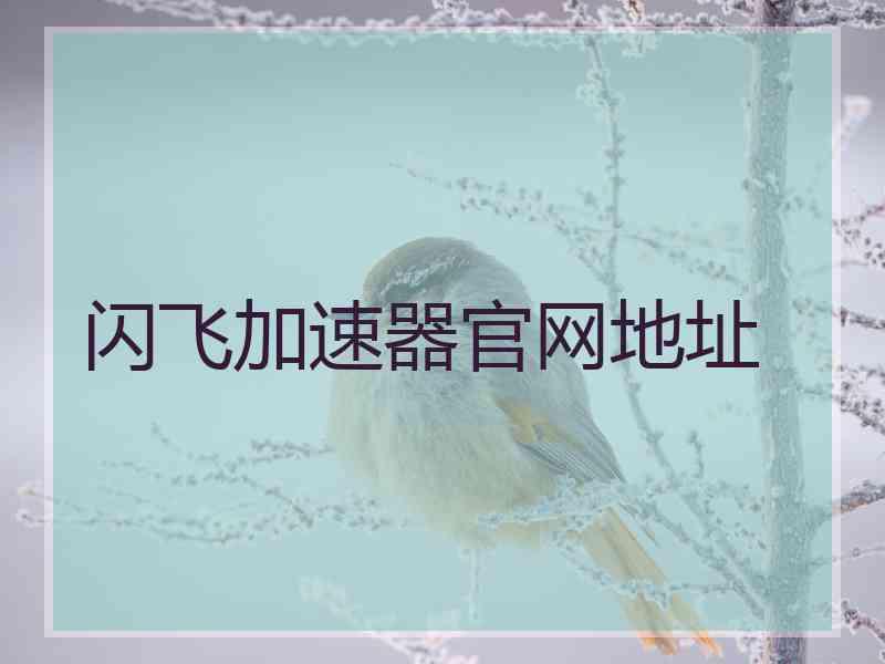闪飞加速器官网地址