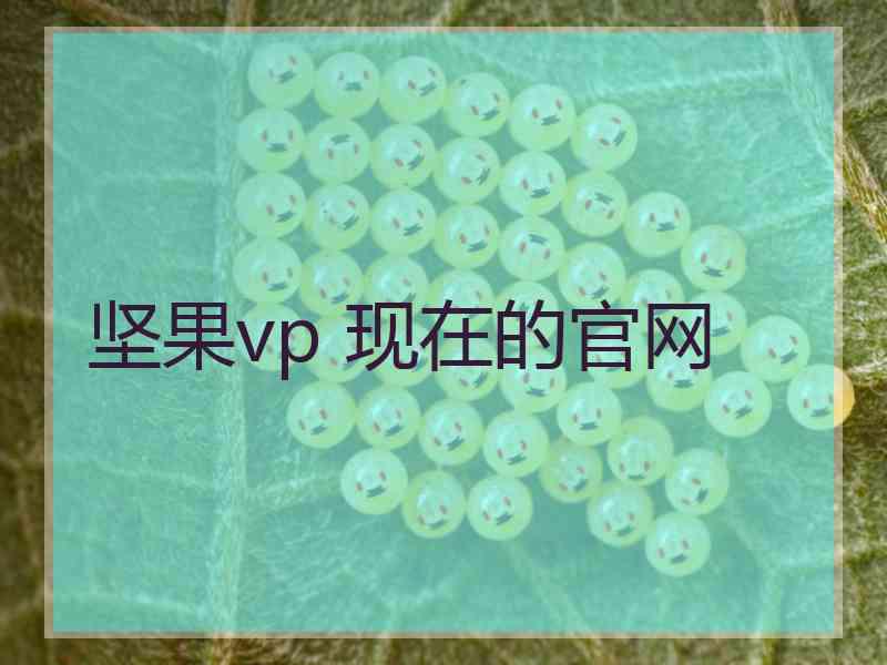 坚果vp 现在的官网