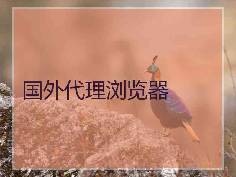 国外代理浏览器