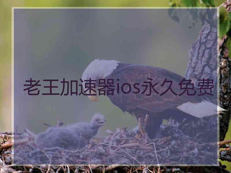 老王加速器ios永久免费