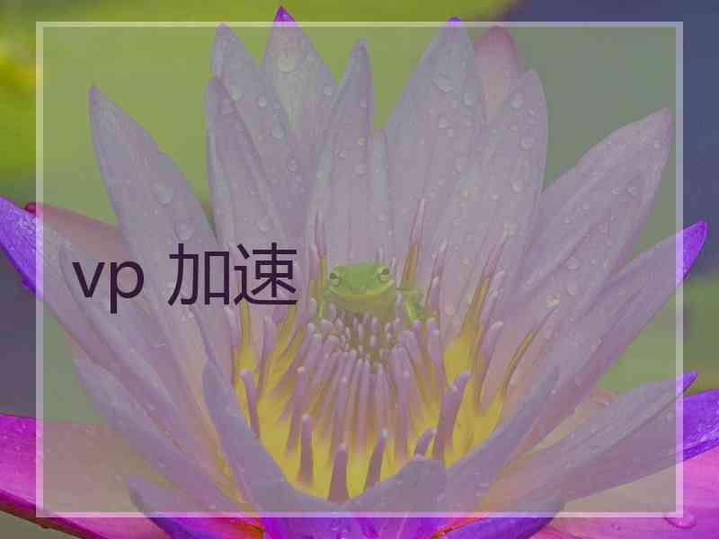vp 加速