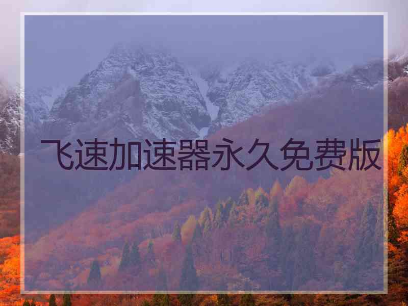 飞速加速器永久免费版